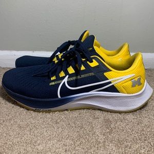 Nike zoom sneaker costume University of Michigan.